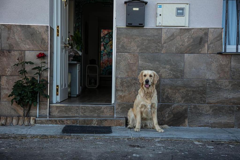 Miraleon Villa Dış mekan fotoğraf