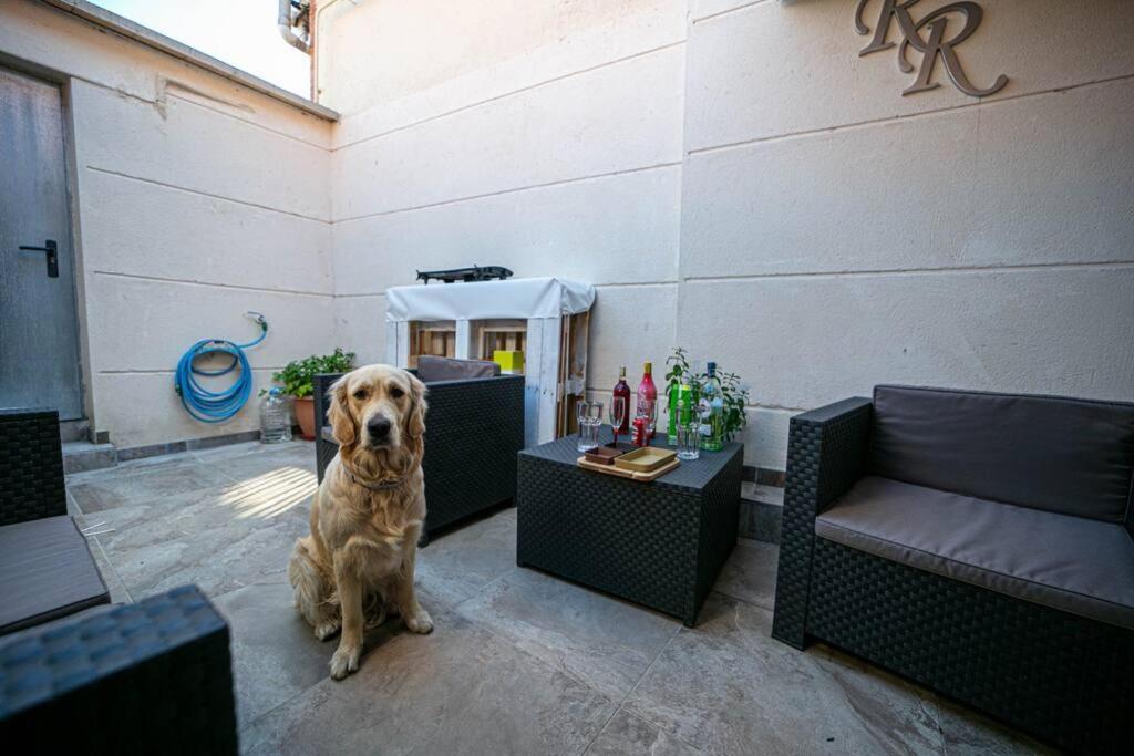 Miraleon Villa Dış mekan fotoğraf